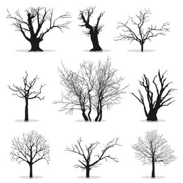 Collection of trees silhouettes Stock Illustration
