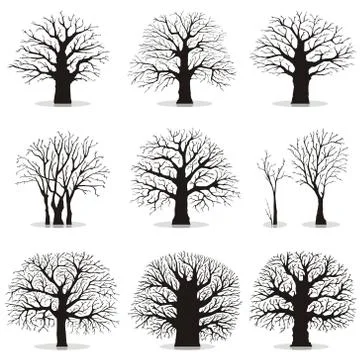Collection of trees silhouettes Stock Illustration