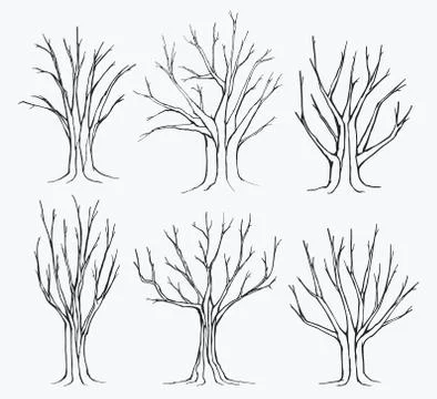 Collection of trees silhouettes Stock Illustration