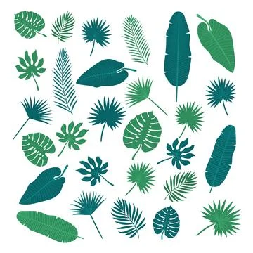 Collection of tropical leaves. Nature elements for your design Stock Illustration