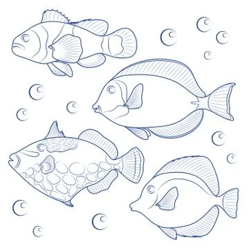 Collection of tropical reef fish. Stock Illustration