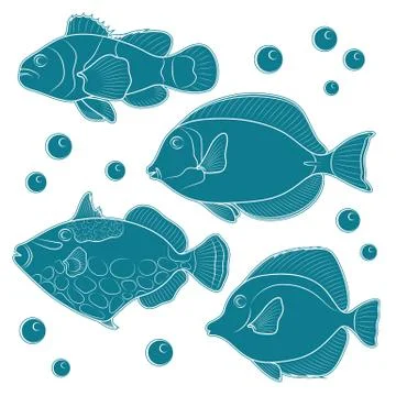 Collection of tropical reef fish. Stock Illustration