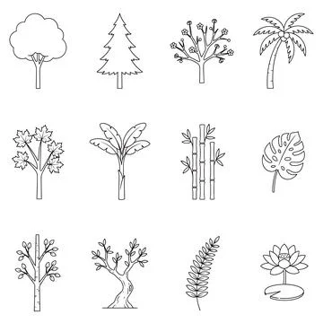 A collection of twelve different tree and plant line including palm, pine, .. Stock Illustration