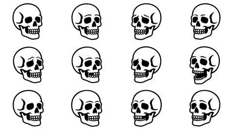 Collection of twelve hand drawn skull illustrations in varying orientations Stock Illustration