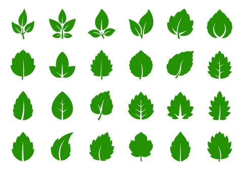 Collection of twenty green leaf in various shapes and styles leaves Stock Illustration