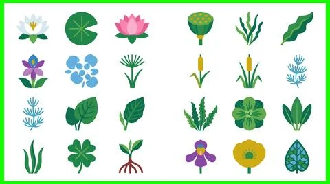 Collection of Various Aquatic and Terrestrial Plant Illustrations. Иллюстрация