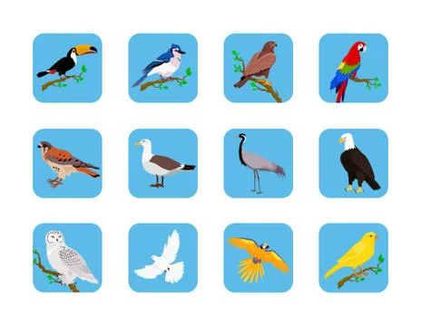 Collection of Various Birds Flat Design Stock Illustration