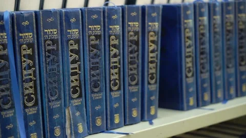 A collection of various Blue Books elegantly arranged on a bookshelf for easy Stock Footage 291012990