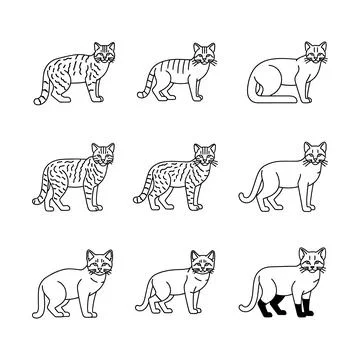 Collection of various cat line drawings in different poses and styles Stock Illustration