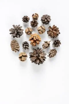 Collection of various cones folded in the form of a circle on a white backgro Stock Photos