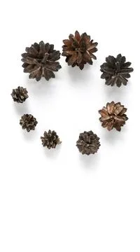 Collection of various cones folded in ring-shaped on a white background. Mini Foto stock