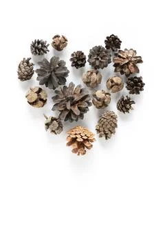 Collection of various cones folded in the shape of a heart on a white backgro Stock Photos