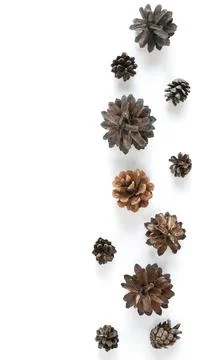 Collection of various cones on a white background. Minimalistic natural backg Foto stock