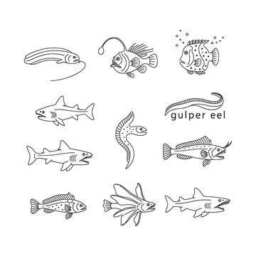 Collection of various fish illustrations in line art style Stock Illustration