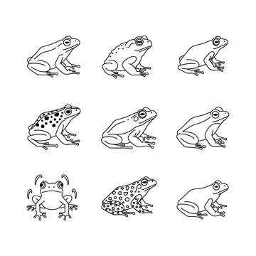 Collection of various frog illustrations in different poses and patterns Stock Illustration