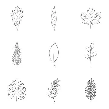 Collection of various hand drawn botanical leaves and branches, black line .. Stock Illustration