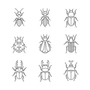 Collection of various insect illustrations Stock Illustration