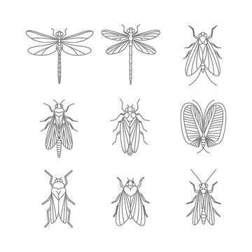 Collection of various insect illustrations in line art style Stock Illustration