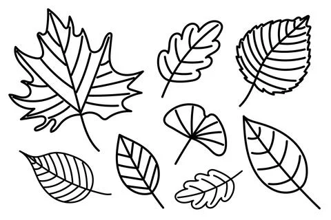 A Collection of Various Leaf Illustrations Available for Multiple Creative .. Illustrazione stock
