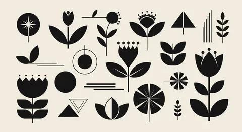 A collection of various leaf shapes and patterns in black and white Stock Illustration