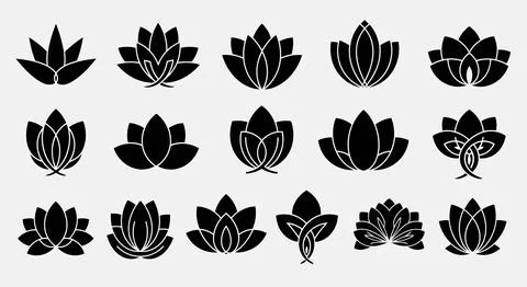 A collection of various leaf shapes and patterns showcasing nature's diversit 스톡 일러스트
