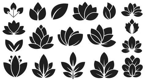 A collection of various leaf shapes and patterns showcasing nature's divers.. Stock Illustration