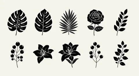 A collection of various leaf shapes and patterns showcasing nature's diversit Stock Illustration
