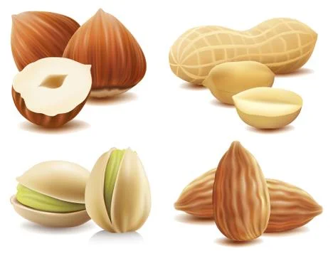 Collection of various nuts on isolated on white Stock Illustration