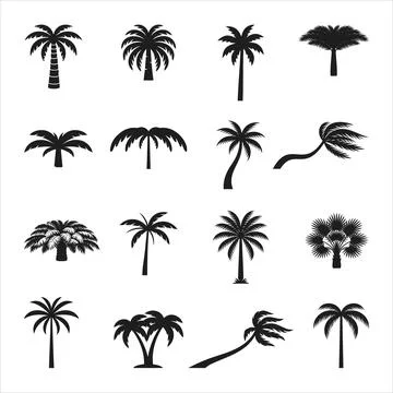 Collection of various palm tree silhouettes vector Stock Illustration