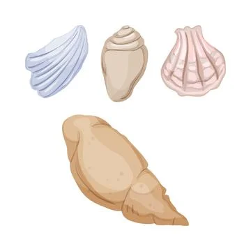 Collection of various sea shells illustrating marine life 스톡 일러스트