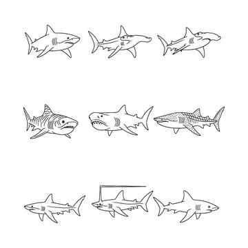 Collection of various shark illustrations in different poses and styles Stock Illustration