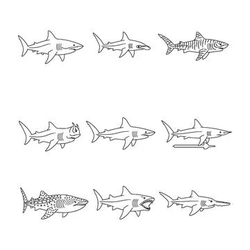 Collection of various shark illustrations in different poses and styles Stock Illustration