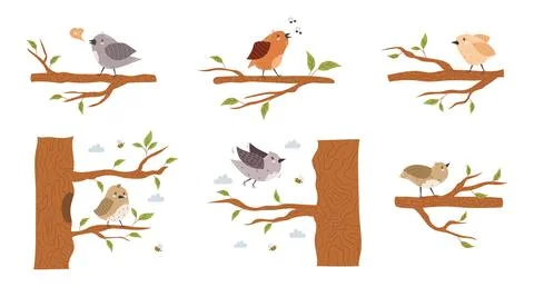A collection of various small birds Stock Illustration