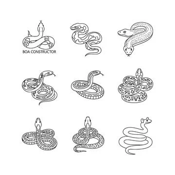 Collection of various snake illustrations in different poses and styles Stock Illustration