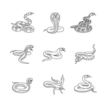 Collection of various snake illustrations in different poses and styles Stock Illustration
