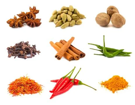 Collection of various spices Stock Photos