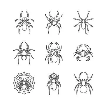 Collection of various spider illustrations in black lines Stock Illustration