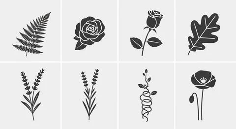 A collection of various stylized flower and leaf illustrations arranged in .. Stock Illustration