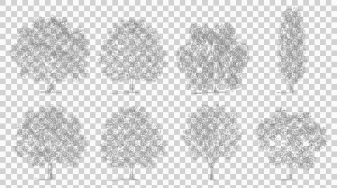 Collection of various tree sketches isolated on transparent background Иллюстрация