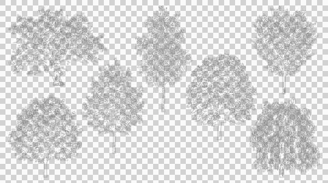 Collection of various tree species in elevation view Stock Illustration