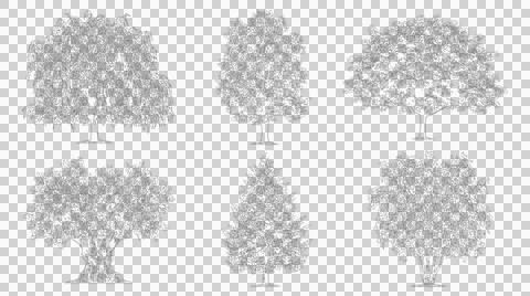Collection of various tree species in elevation view isolated on transparent Stock Illustration