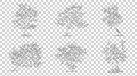 Collection of various trees in elevation view isolated on transparent backg.. Stock Illustration
