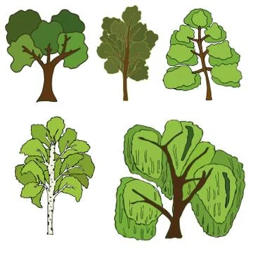 Collection of various trees. Isolated on a white background Stock Illustration