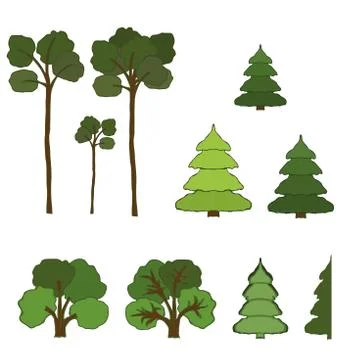 Collection of various trees. Isolated on a white background Stock Illustration