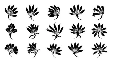 A collection of various tropical leaves Stock Illustration