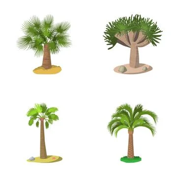 Collection of various tropical palm trees illustration Ilustração Stock