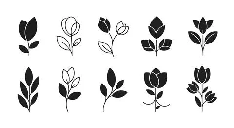 A collection of various types of flowers illustrated in a simple black and .. Stock Illustration