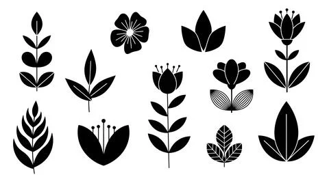 A collection of various types of leaves and ferns in black and white illust.. 스톡 일러스트