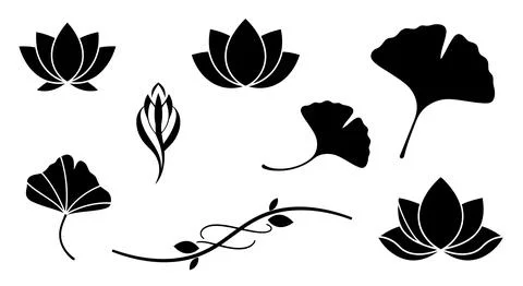 A collection of various types of leaves and flowers in a symmetrical arrang.. 스톡 일러스트