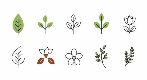 A collection of various types of leaves and flowers in a simple line art styl Stock Illustration